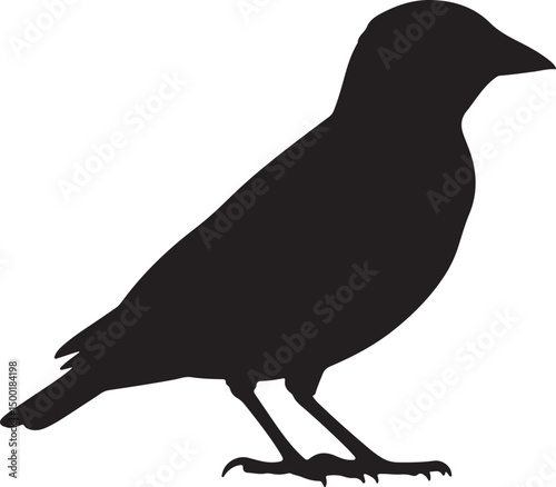 Bobolink bird vector silhouette on white background