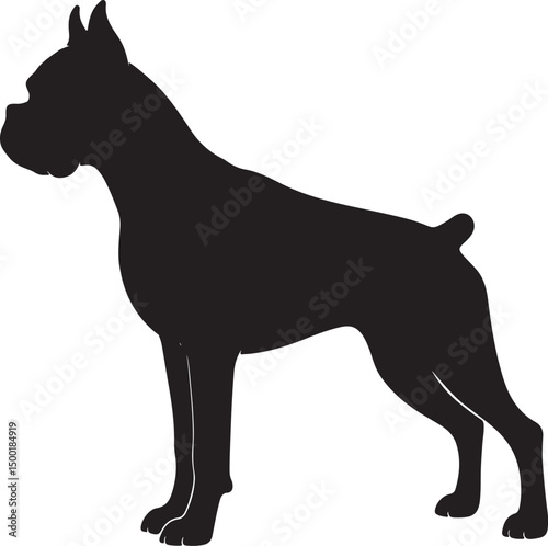 Boxer dog vector silhouette on white background