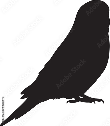 Budgerigar side view vector silhouette on white background