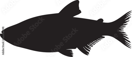 Cardinal Tetra side view vector silhouette on white background