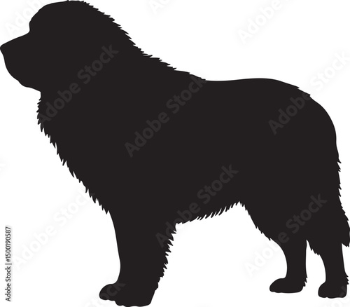 Caucasian Shepherd Dog vector silhouette on white background