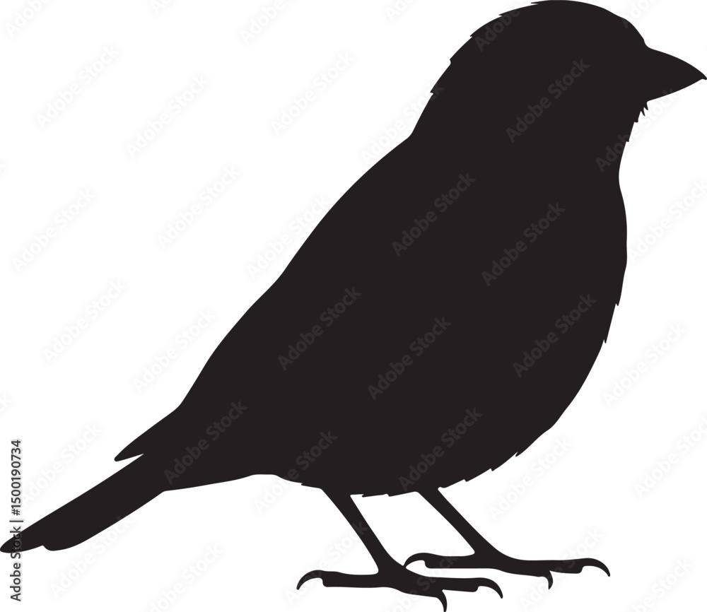 Obraz premium Catbird side view vector silhouette on white background