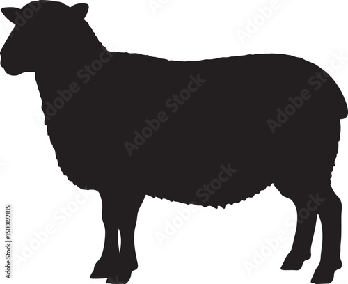 Bilde på lerret Cheviot Sheep side view vector silhouette on white background