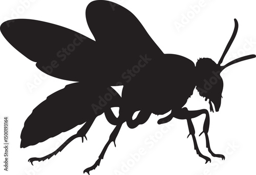 Cicada Killer Wasp top view vector silhouette on white background