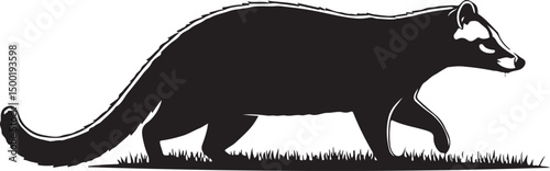 Civet