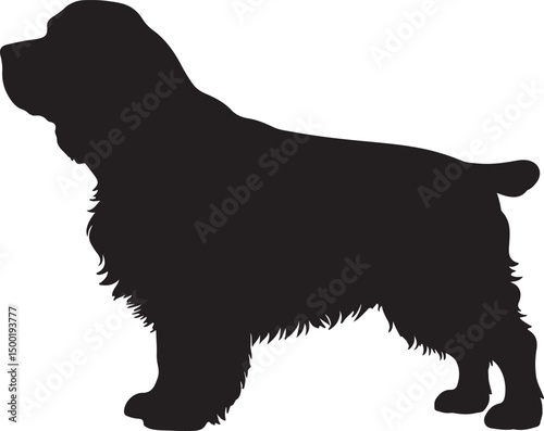 Clumber Spaniel