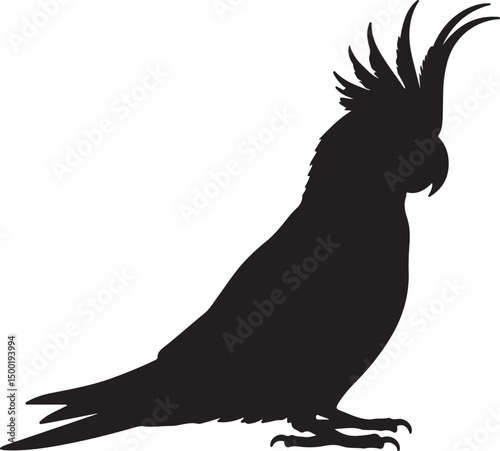 Cockatiel
