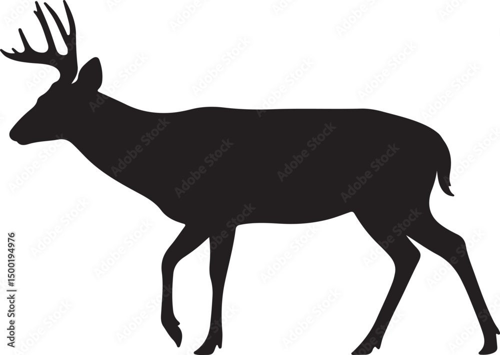 Fototapeta premium Columbian Black-tailed Deer Solid Vector Silhouette