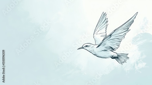 Bird is flying in the sky with a blue background. The bird is white and has a long tail
