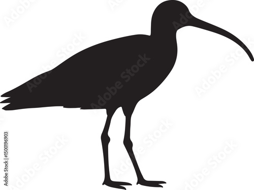 Curlew Solid Vector Silhouette