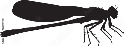 Damsel Fly vector silhouette on white background