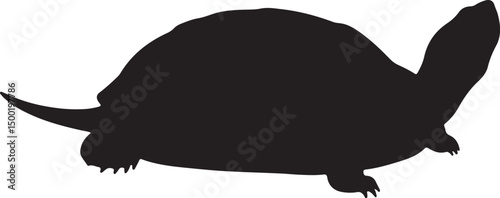 Diamondback Terrapin vector silhouette on white background