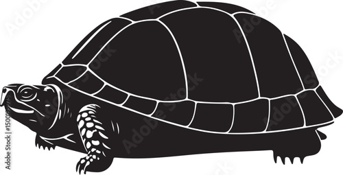 Eastern Box Turtle vector silhouette on white background
