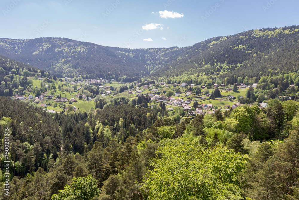 Obraz premium Château de Wangenbourg