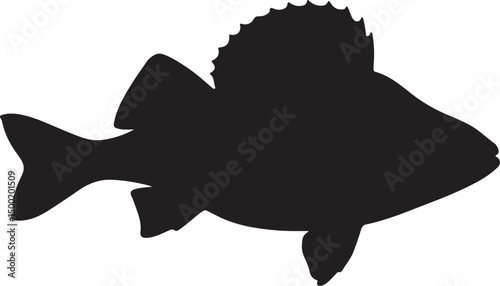 European Perch fish vector silhouette on white background