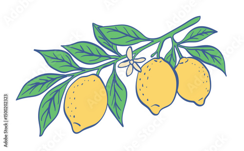 Lemon branch with lemons leaves and flower, vibrant color sketch style, for a lemon themed graphic or summer food concept, isolated on white background, vector illustration