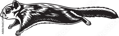 Flying Squirrel side view vector silhouette on white background