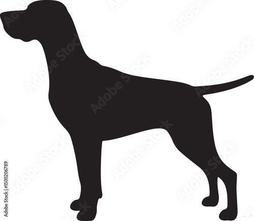 German Shorthaired Pointer dog vector silhouette on white background