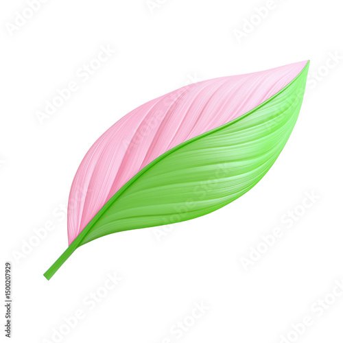 pink and green leaf on white background clip art preview