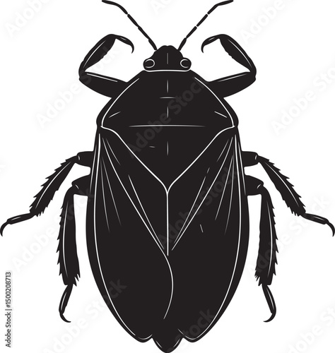 Giant Water Bug top view vector silhouette on white background