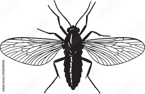 Gnat top view vector silhouette on white background
