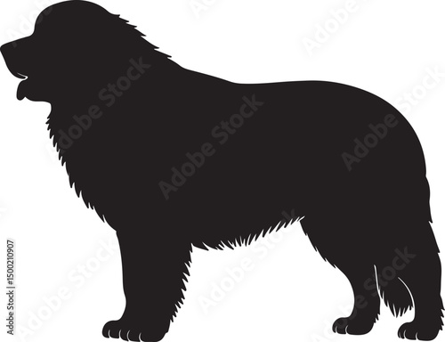 Great Pyrenees Dog Vector Silhouette on White Background