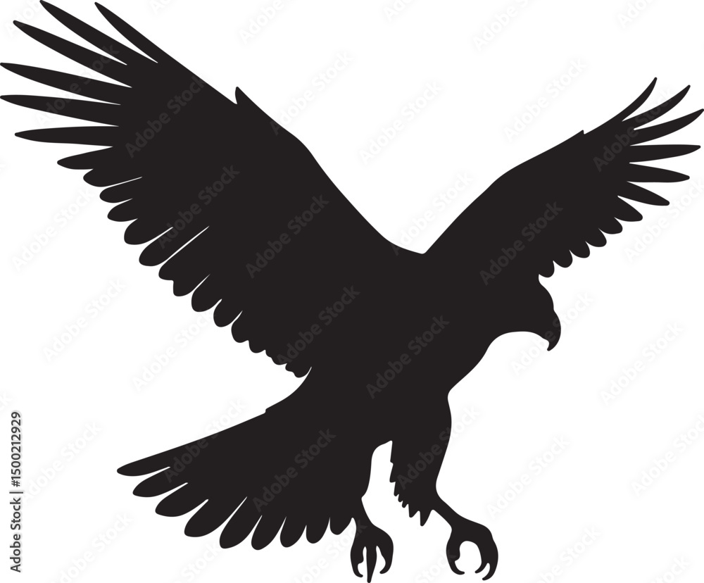 Obraz premium Hawk Bird Vector Silhouette on White Background