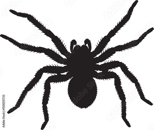 Huntsman Spider Top View Vector Silhouette on White Background