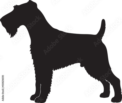 Irish Terrier Dog Vector Silhouette on White Background