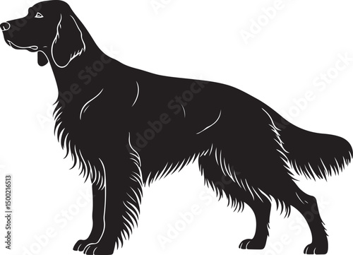 Irish Setter Dog Vector Silhouette on White Background