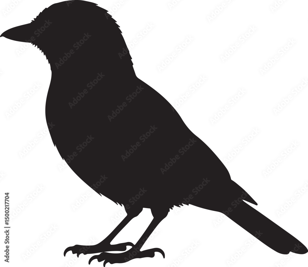 Obraz premium Jay Bird Side View Silhouette Vector