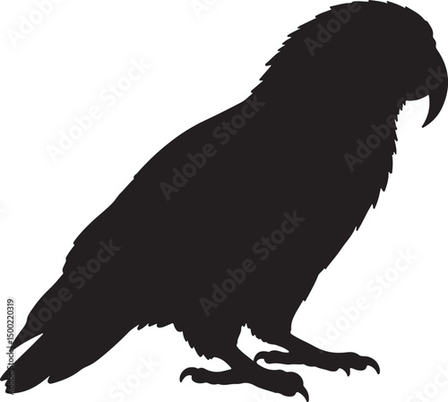 Kea Bird Side View Silhouette Vector