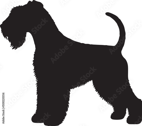 Kerry Blue Terrier Side View Silhouette Vector
