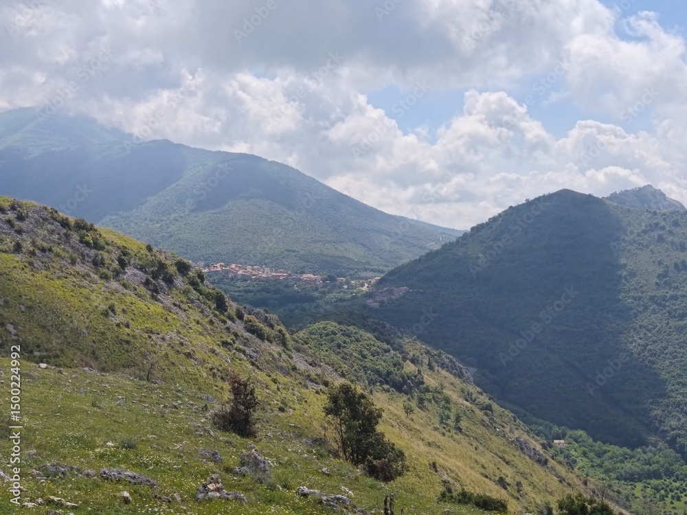 Fototapeta premium default