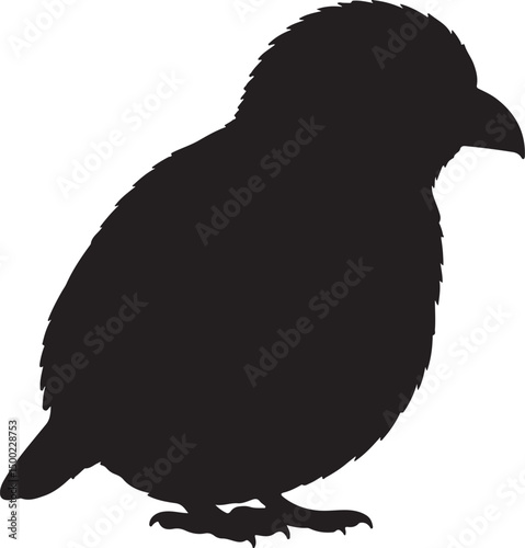 Manakin Bird Side View Silhouette Vector
