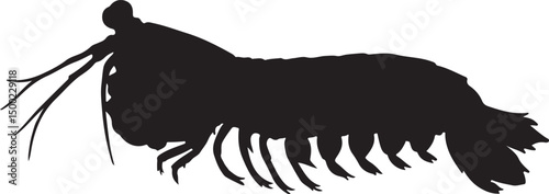 Mantis Shrimp vector silhouette on white background