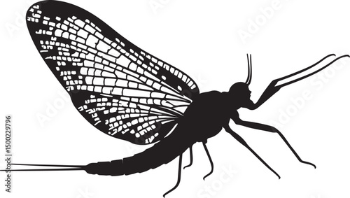 Mayfly insect vector silhouette on white background