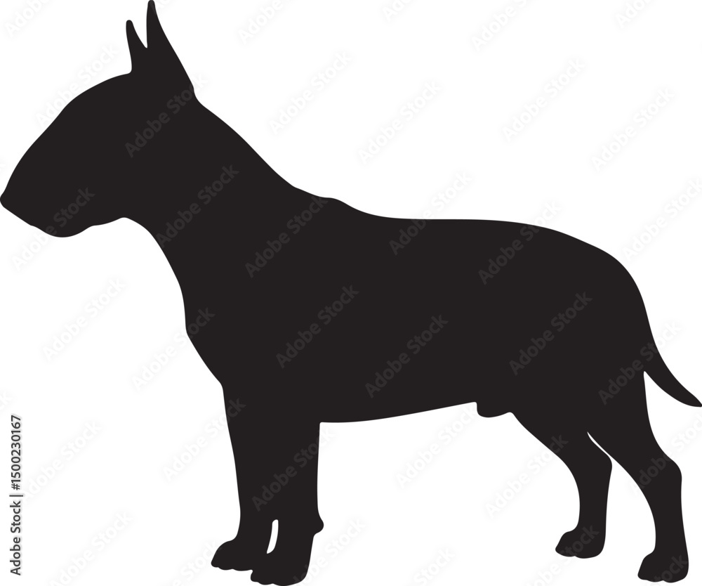 Miniature Bull Terrier dog vector silhouette on white background Miniature Bull Terrier dog vector silhouette on white background