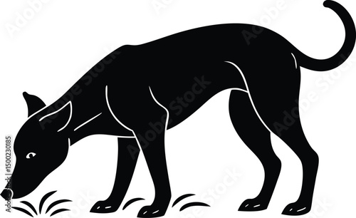  silhouette of dog sniffing ground  