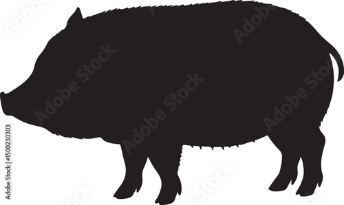 Miniature Pig vector silhouette on white background