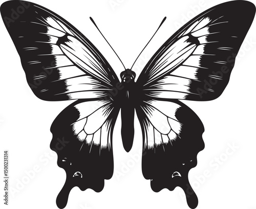 MORMON BUTTERFLY SILHOUETTE