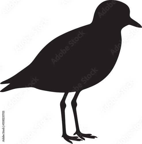 MOUNTAIN PLOVER SILHOUETTE