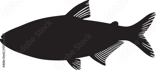 NEON TETRA SILHOUETTE