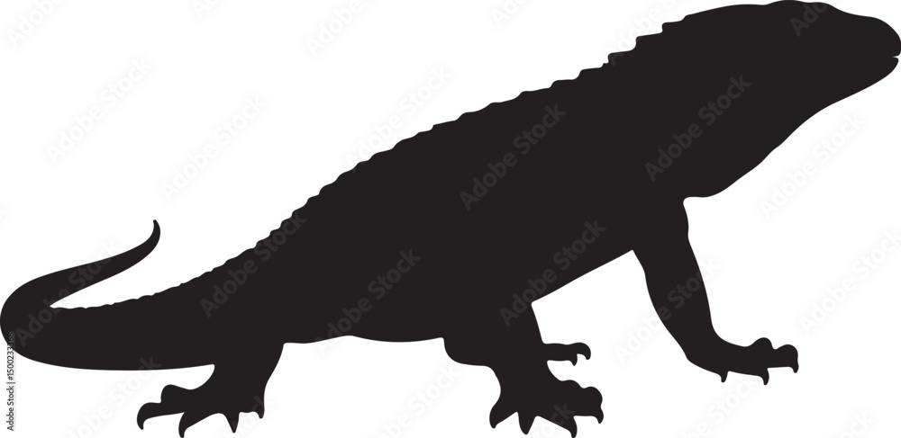Fototapeta premium NORTHERN CAIMAN LIZARD SILHOUETTE