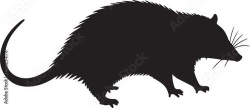 Tableau sur toile Opossum Side View Silhouette Vector