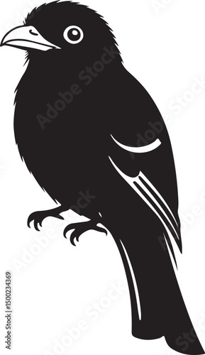 Orange-breasted Trogon Side View Silhouette Vector