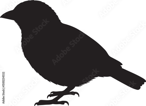 Oriole Side View Silhouette Vector