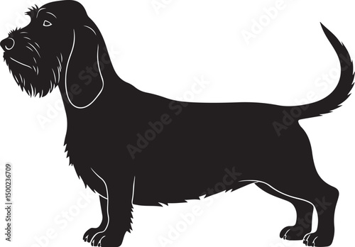 WebPetit Basset Griffon Vendéen Silhouette Vector