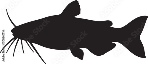 Redtail Catfish Silhouette Vector