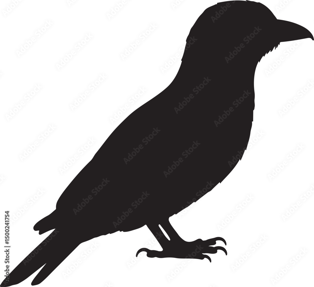 Fototapeta premium Roller Bird Silhouette Vector